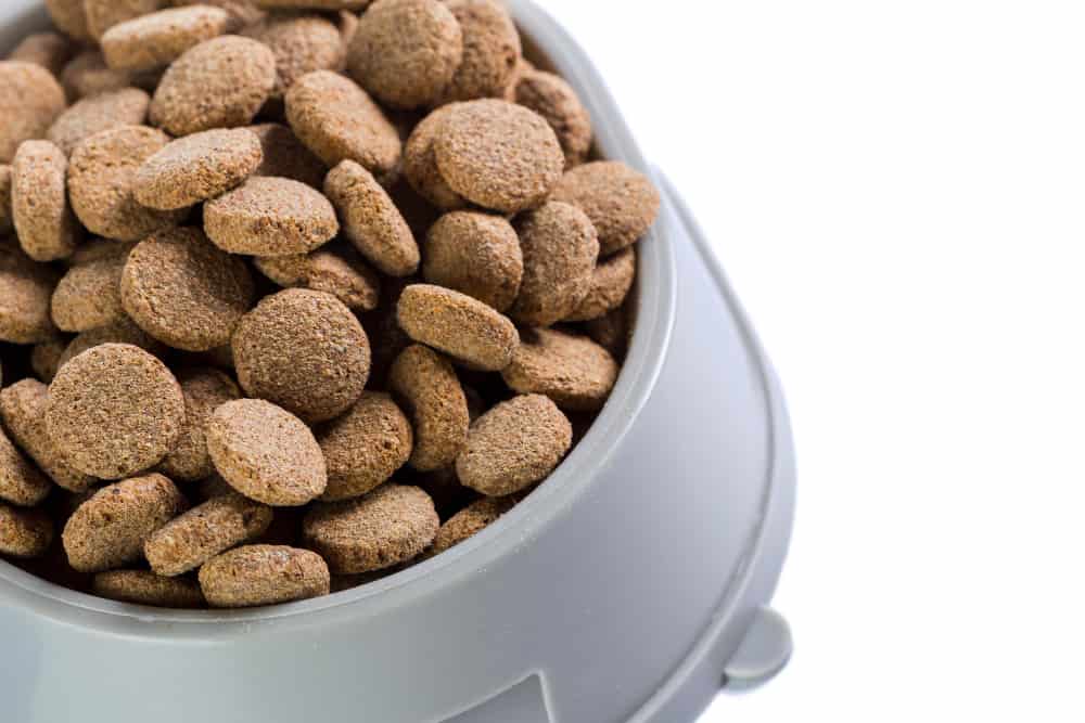Dry Dog Food Isolated in White Background