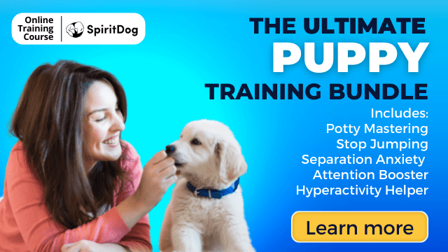The Ultimate Puppy Training Bundle