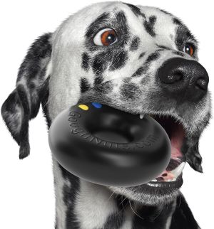 Goughnuts Durable Rubber Dog Chew Toy Ring - Lifetime Replacement Guarantee - for Aggressive Power Chewers
