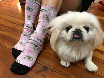 Custom Socks Printed with face of pet