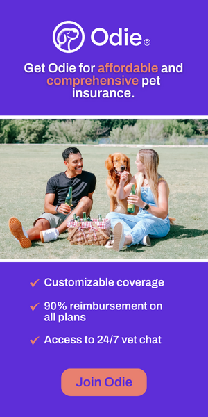 Odie Pet Insurance